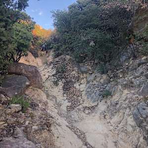 Mountain Getaway at El Deseo Ranch