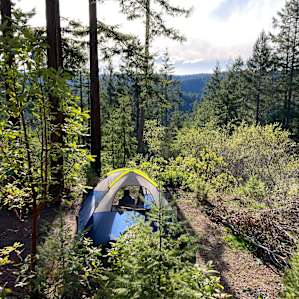 Cosmo's Camp: Campsite #3