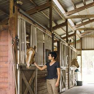 We loved going into the bright airy barn to say hi to the horses and cats