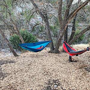 Lots of good hammock space
