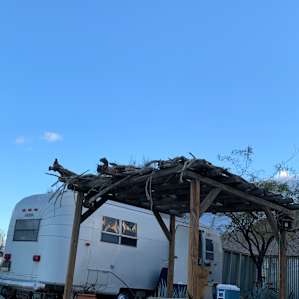 Anza Borrego Glamping - The Avion