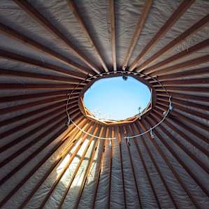 24 foot Yurt in Raleigh/1