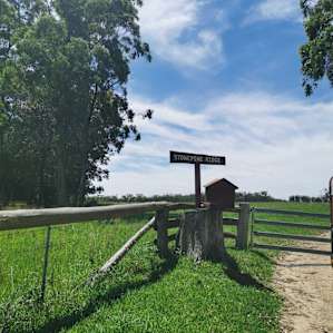 Stonepine Ridge: Bookookarara Creek