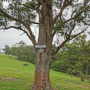 Stonepine Ridge: Bookookarara Creek