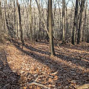 Nearby hiking trail
