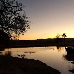 Fish Camp