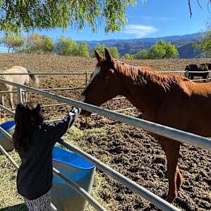 Saddle Up Ranch Site 1
