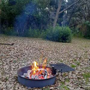 Florida Nature in Gainesville