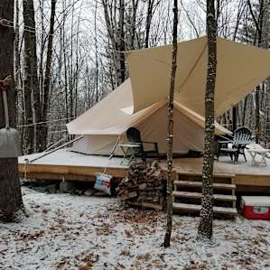 Secluded Comfort in the Woods