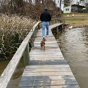 Waterfront Cabin #3, stairs to lake