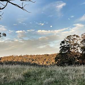 Briarfield Self Sufficient Camping