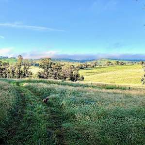Briarfield Self Sufficient Camping