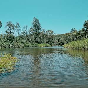 Camping by the Mitta Mitta River
