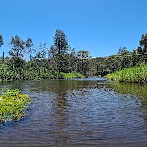 Camping by the Mitta Mitta River