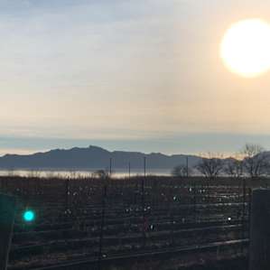 Sunrise on the winery