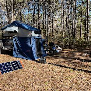 Camping in the East Texas Pines