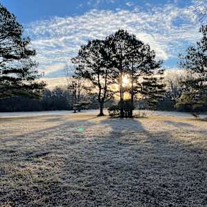 Camping in the East Texas Pines