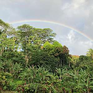 Morning rainbow