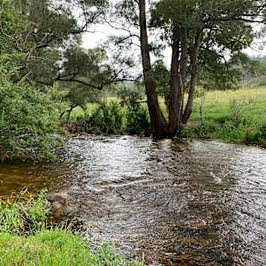 Omadale Brook Camp