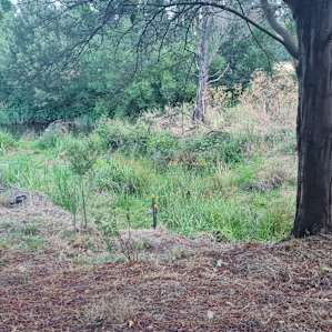 Rainbow Ridge (Little River Camp)