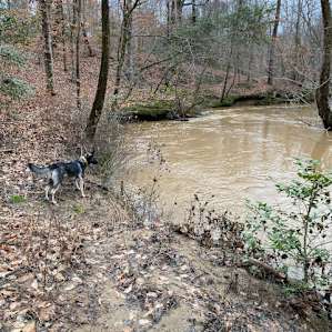 Camp Fishing Creek