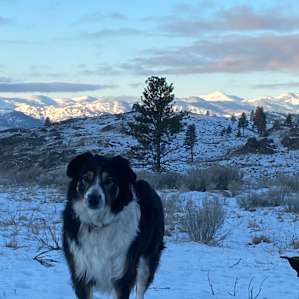 Okanogan Highland Views