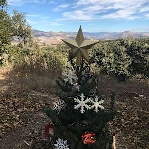 Christmastime on the Ranch