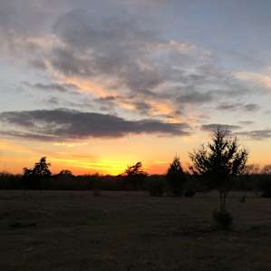 Sunset field