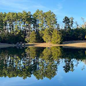 The pond
