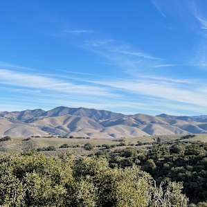 Rolling Oak Hills w/ Mountain Views