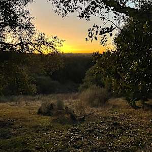 Rolling Oak Hills w/ Mountain Views