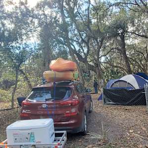 Moss Bluff Ocala National Forest