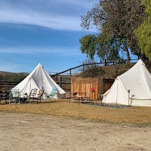 Ballard Hill Ranch Wine and Camping