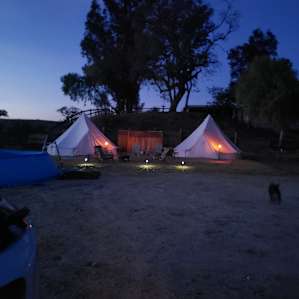 Ballard Hill Ranch Wine and Camping