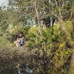There are some beautiful ponds on the property