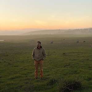 The beautiful field + cows in the background.