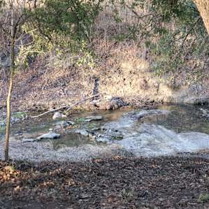 River Rock Camp