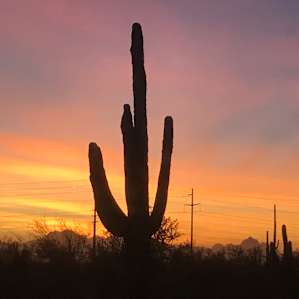 Family Friendly Desert RV site