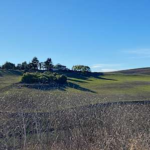 Ballard Hill Ranch Vista RV Camping