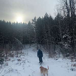 Snowshoe trail
