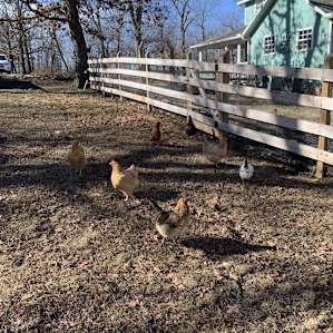 Wallin Ridge Farm