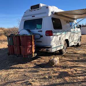Mesquite forest tent sites