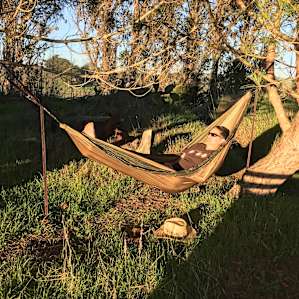 Bring your hammock!