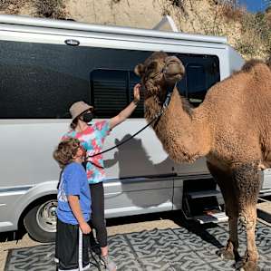 Reptacular Animals Ranch