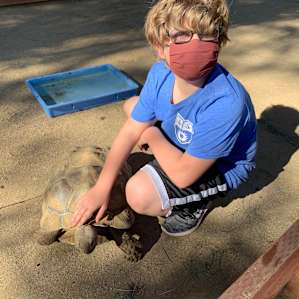 Reptacular Animals Ranch