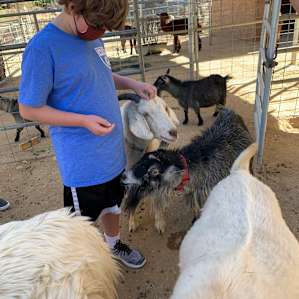 Reptacular Animals Ranch