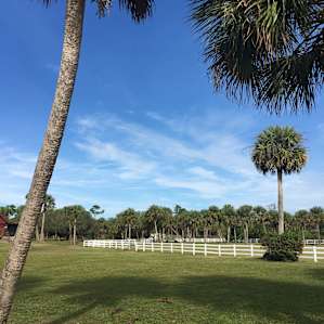 MEADOW RIVER RANCH