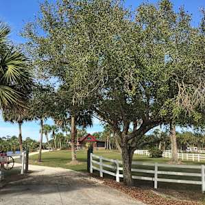 MEADOW RIVER RANCH
