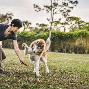 Our dog had a great time playing and hanging out at the campsite