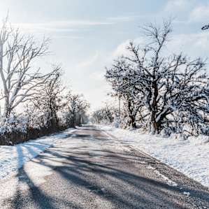 Country road to campsite